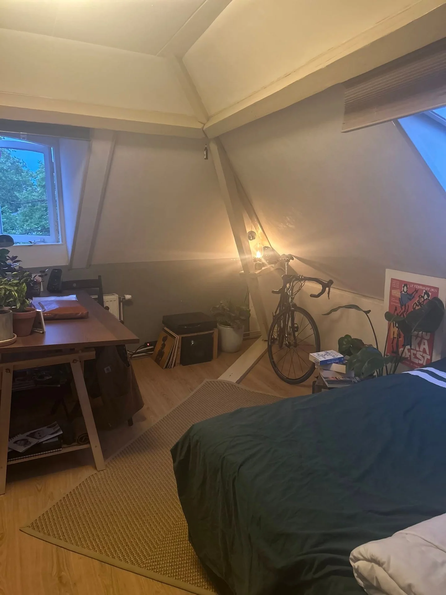 geblurde versie van de foto als achtergrond