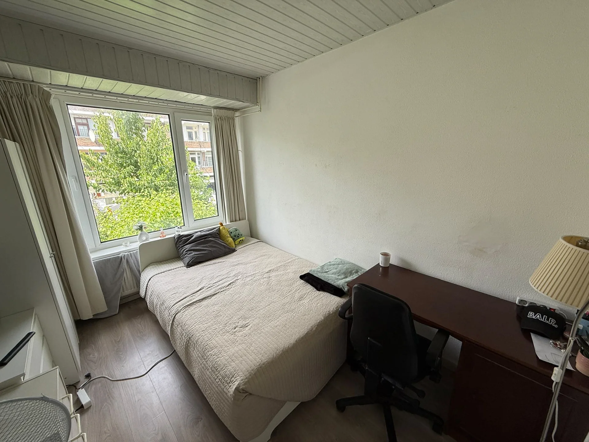 geblurde versie van de foto als achtergrond