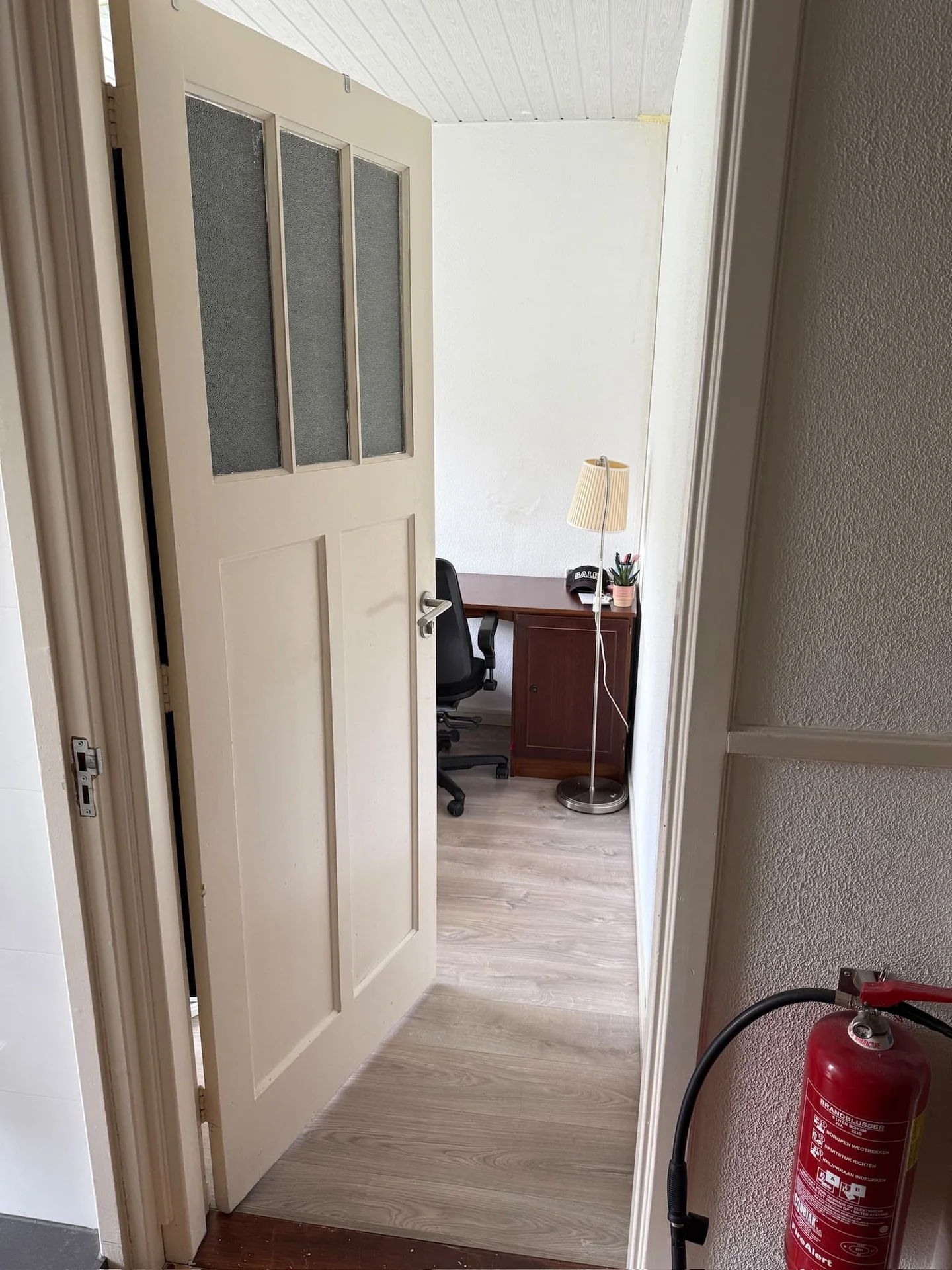 geblurde versie van de foto als achtergrond