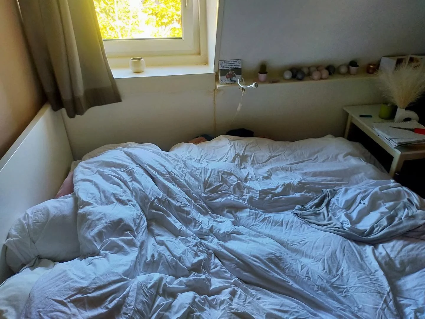 geblurde versie van de foto als achtergrond