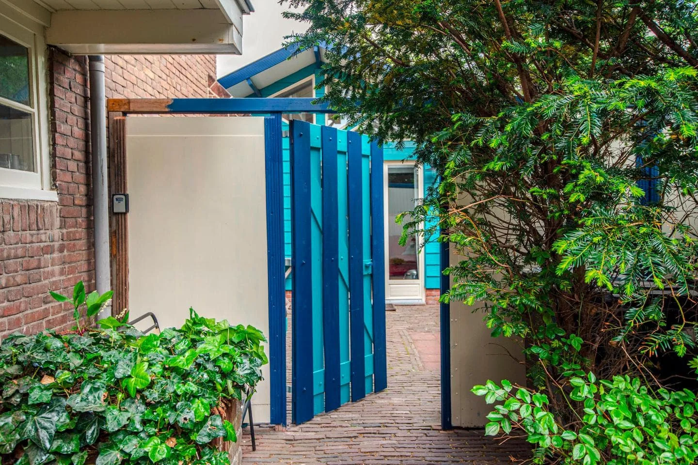 geblurde versie van de foto als achtergrond