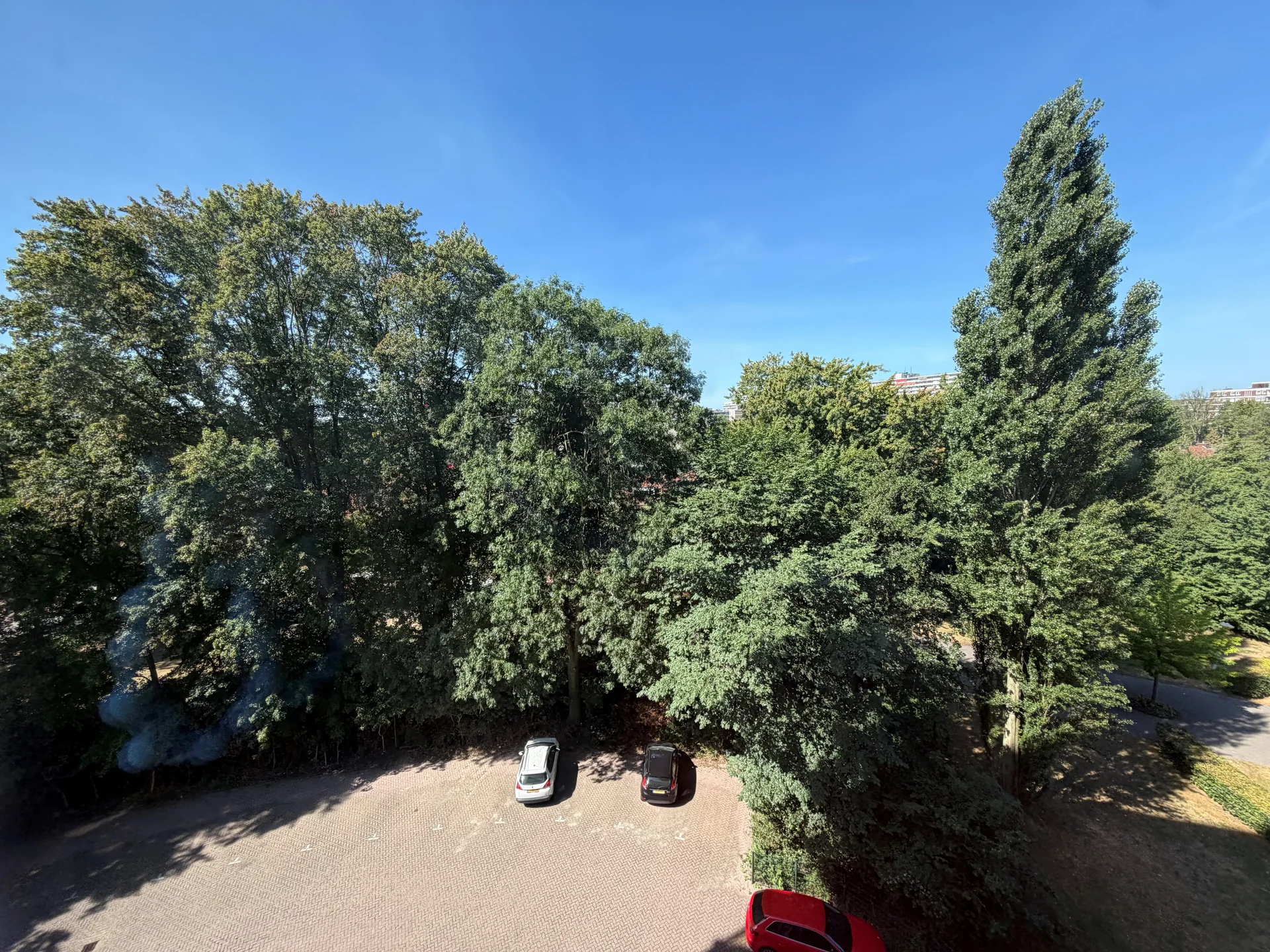 geblurde versie van de foto als achtergrond