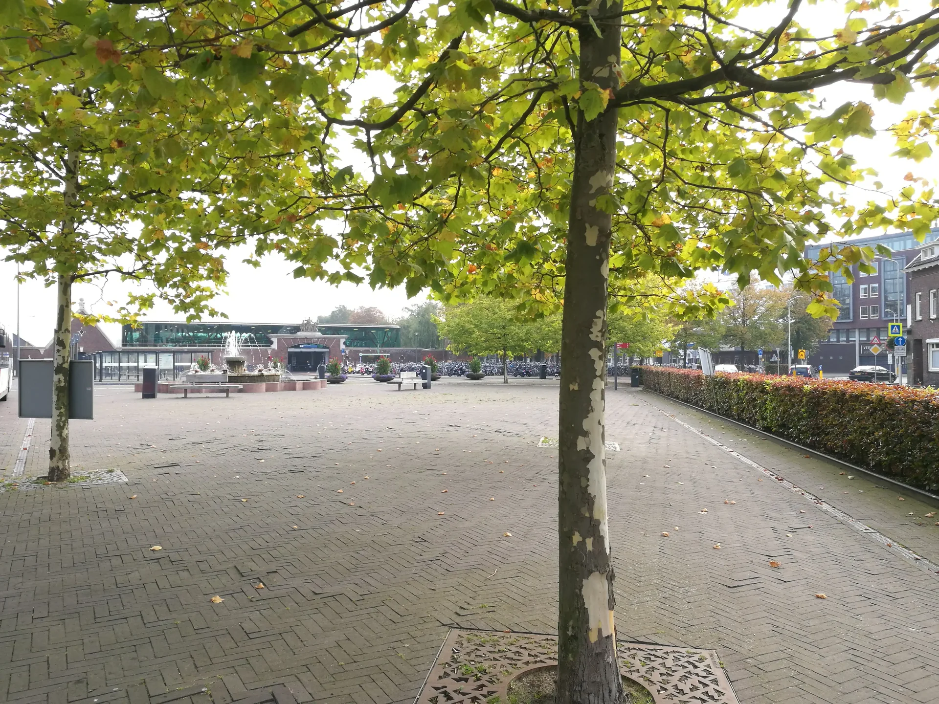 geblurde versie van de foto als achtergrond