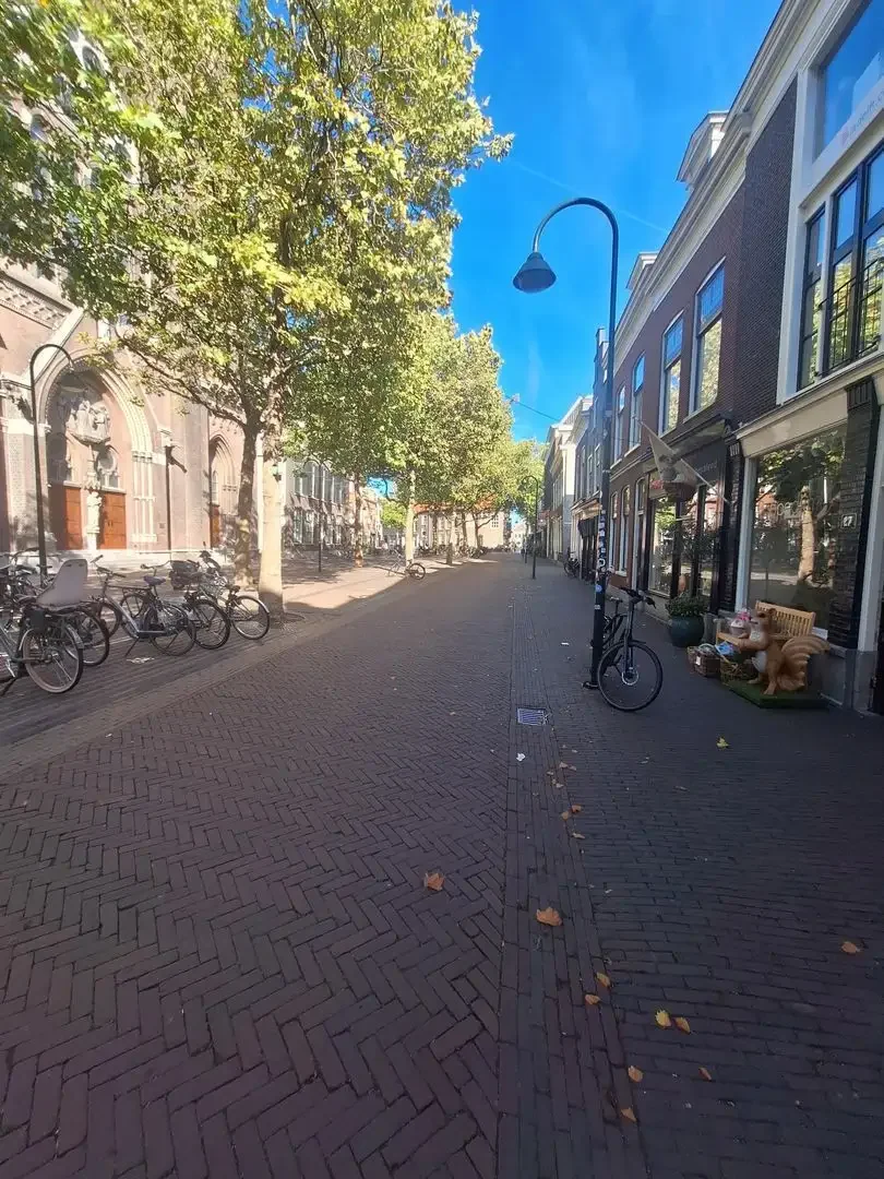 geblurde versie van de foto als achtergrond