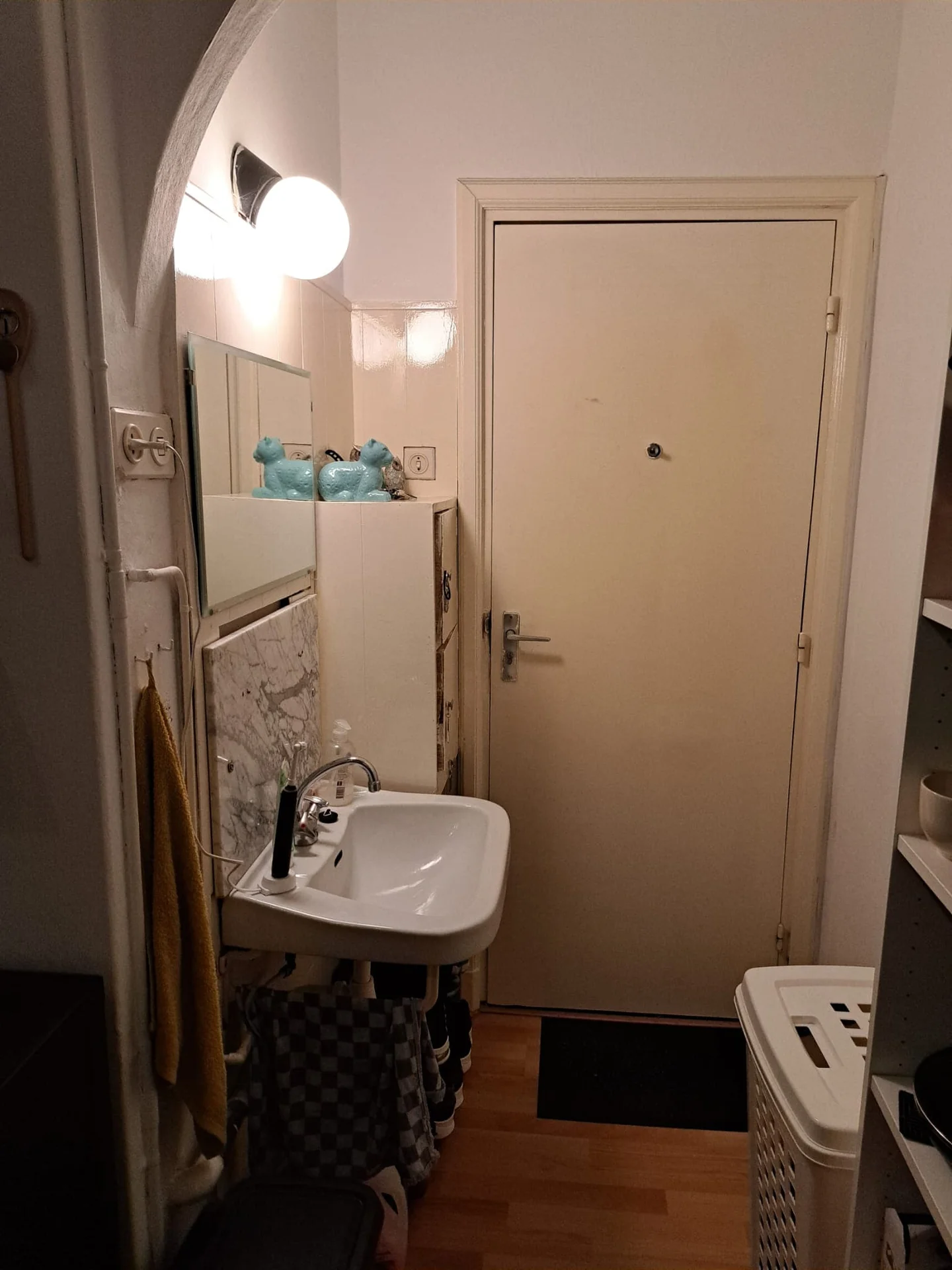 geblurde versie van de foto als achtergrond