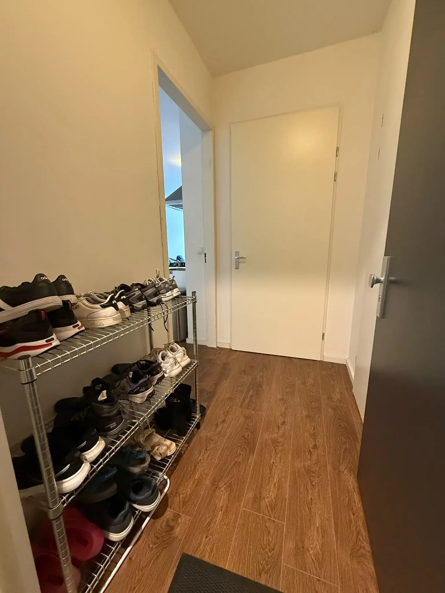 Foto van de Appartement gelegen aan de Spiraeastraat in Eindhoven