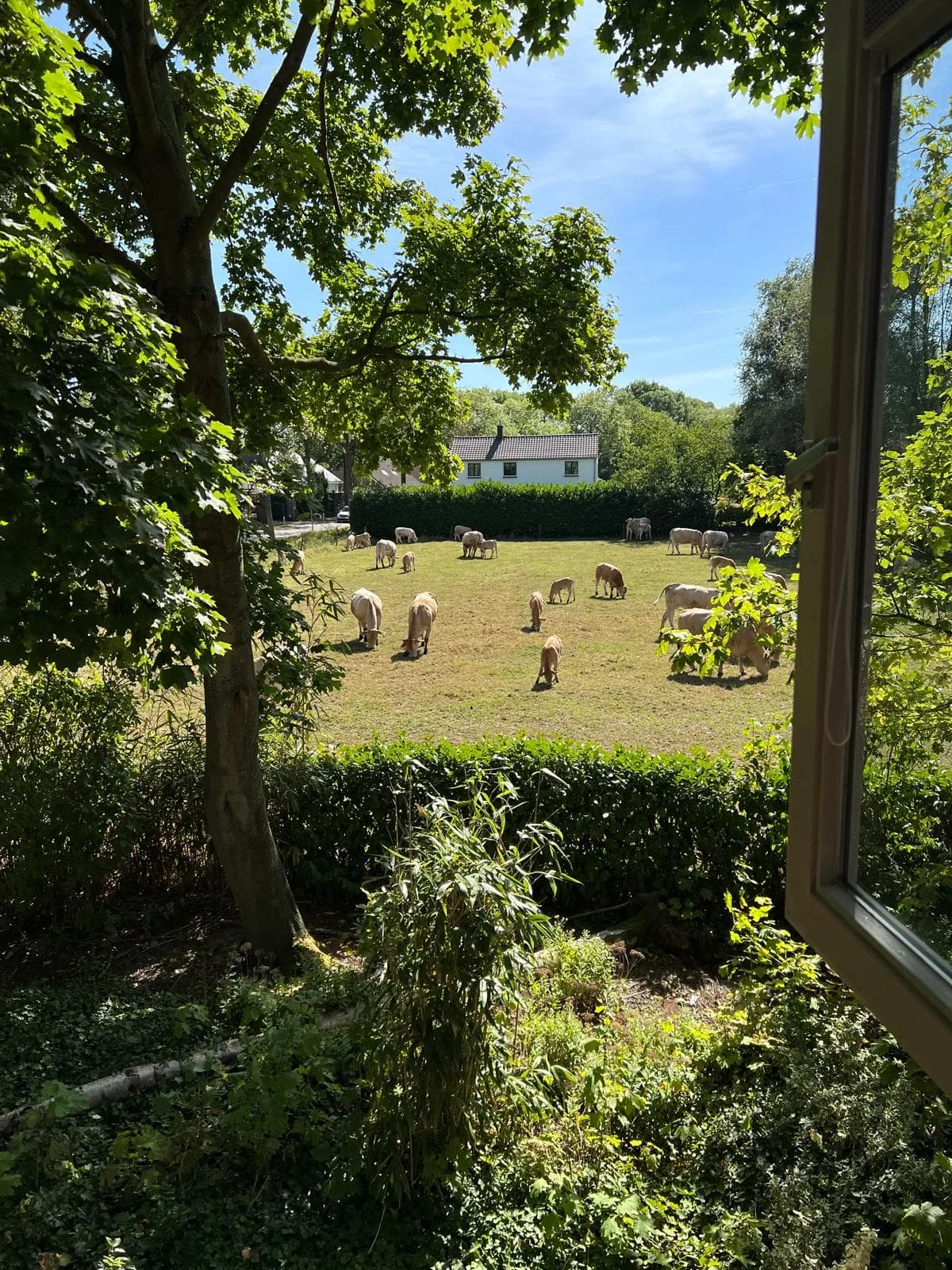 Foto van de Kamer gelegen aan de Haansberg in Etten-Leur