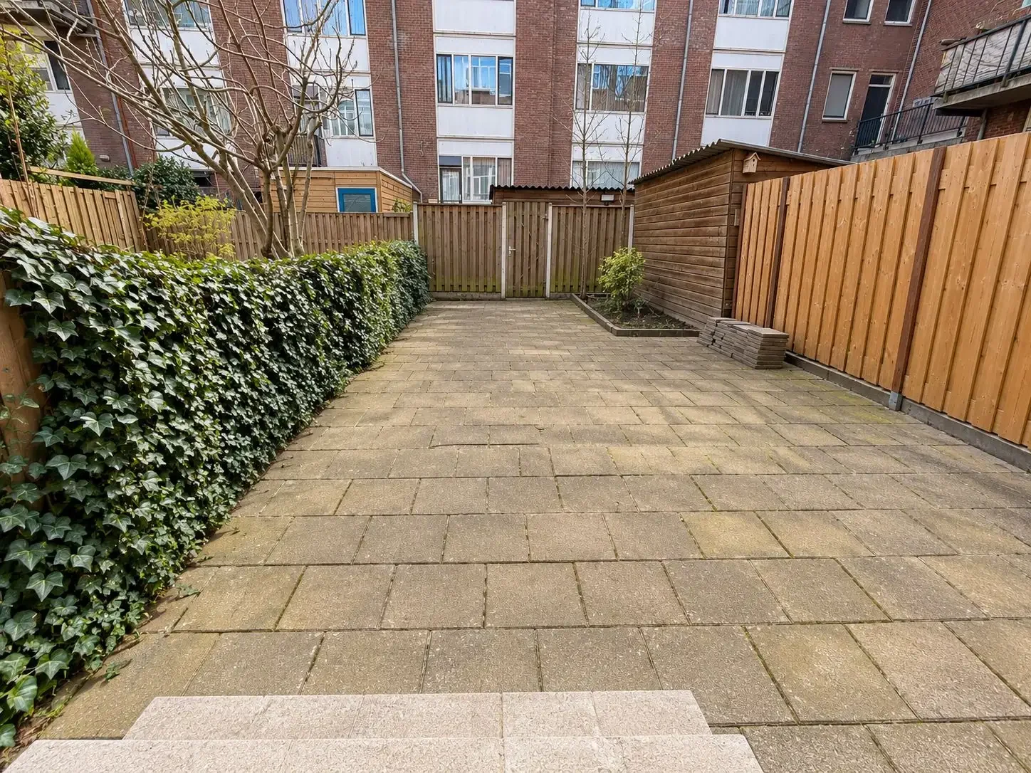 geblurde versie van de foto als achtergrond