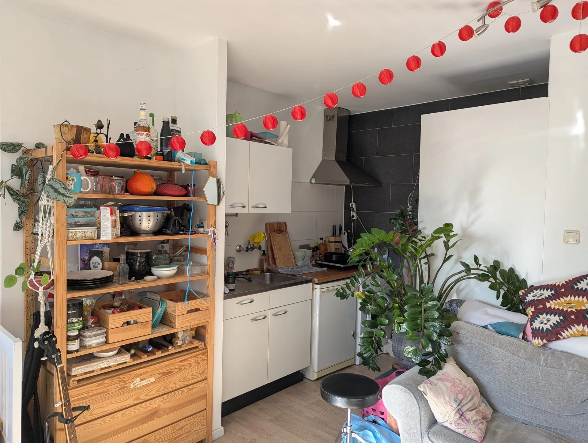 geblurde versie van de foto als achtergrond