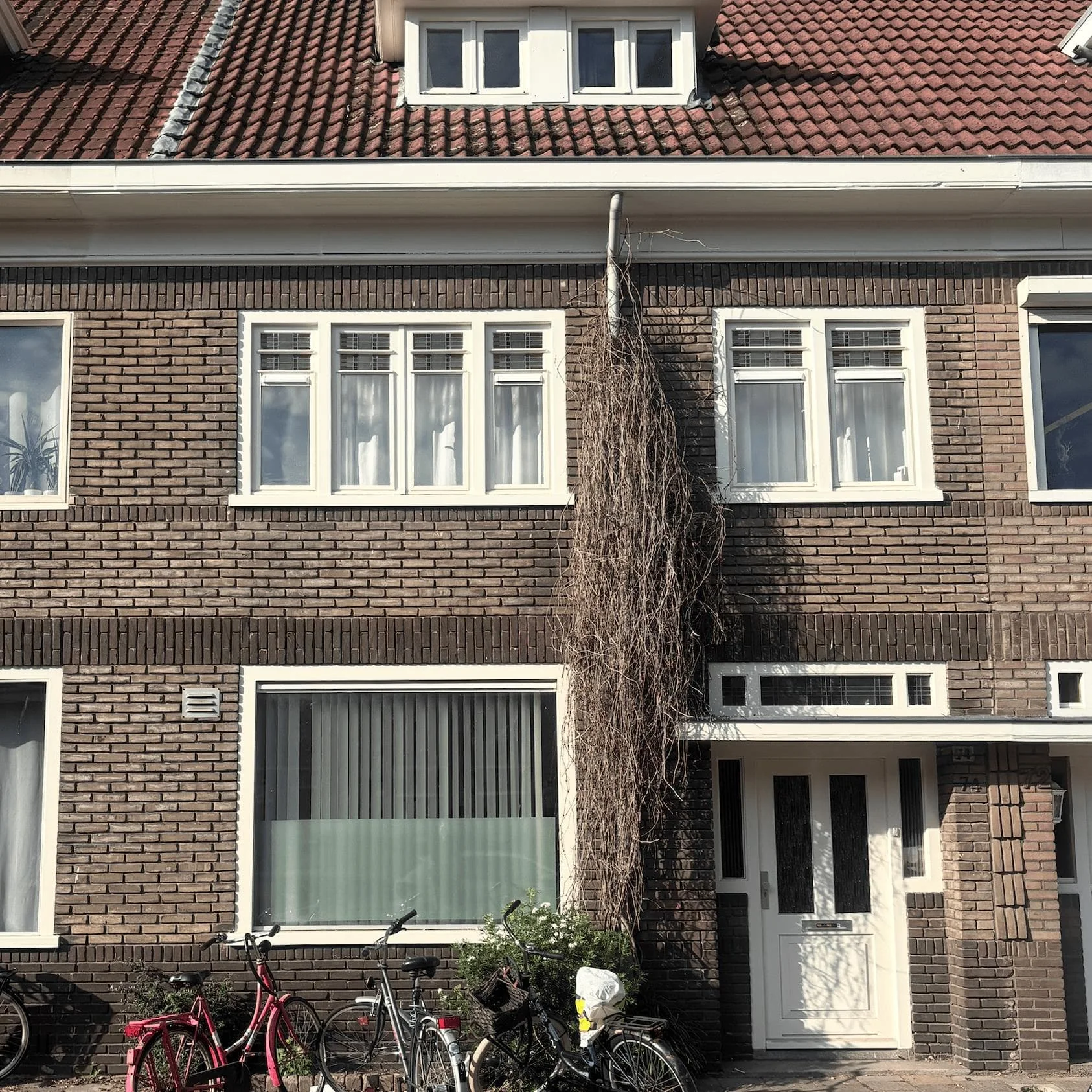 Foto van de Kamer gelegen aan de Schootsestraat in Eindhoven