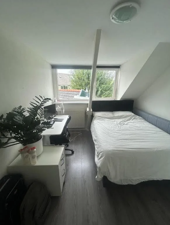 geblurde versie van de foto als achtergrond